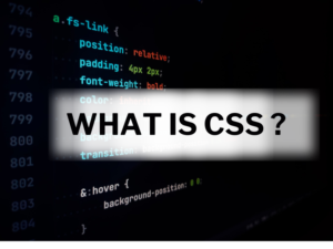 What Is Css? Full Form Of Css - Seekho Gyan